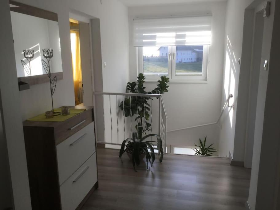 Haus Im Gruenen Villa Bad Zell ภายนอก รูปภาพ